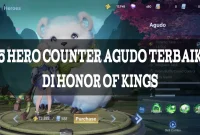 hero counter agudo hok