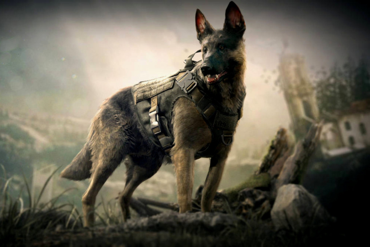Artikel kali ini membahas mengenai beberapa karakter anjing terbaik yang ada di dalam video game favorit kalian.