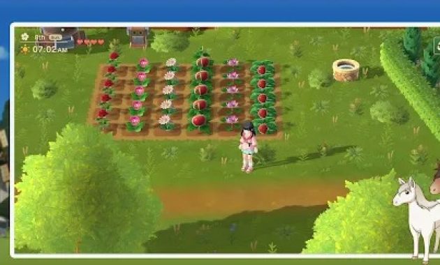 Harvest Moon / google play