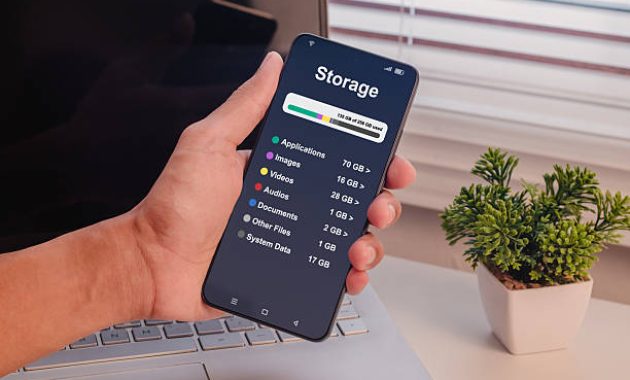 Seorang memegang smartphone dengan menampilkan menu rincian penyimpanan / iStockphoto