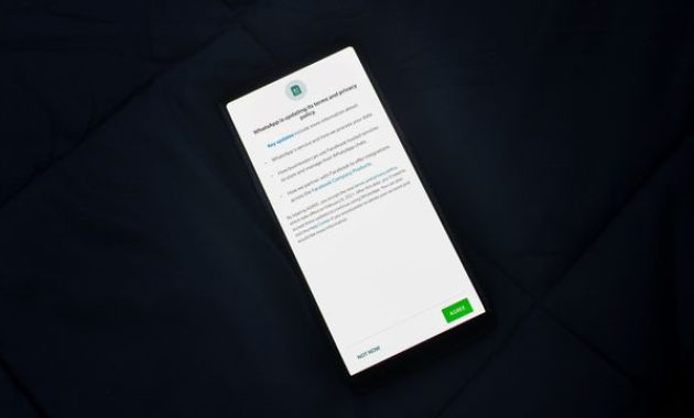 Ilustrasi Pratinjau WhatsApp / pexels--rahulshah